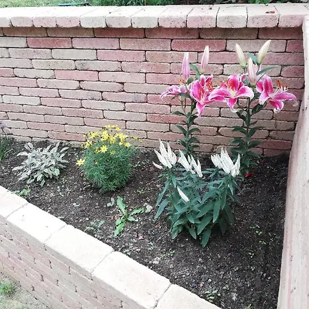 Affittacamere Baláca Panzió Veszprém