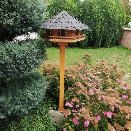 巴雷卡班佐酒店 招待所 4*