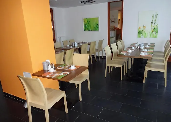 Balaca Panzio ゲストハウス