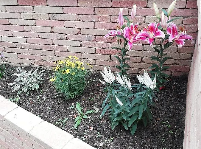 Pensjonat Balaca Panzio Veszprém