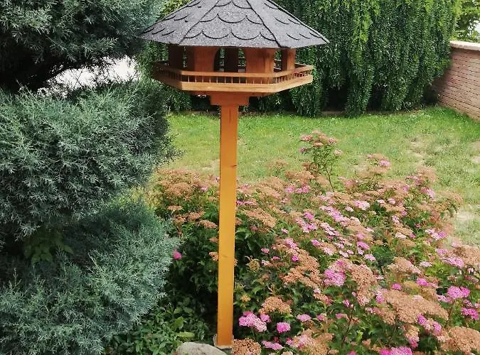 Balaca Panzio ゲストハウス 4*