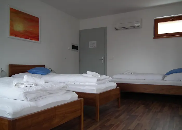 ゲストハウス Balaca Panzio ヴェスプレーム